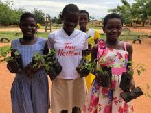 Four smiling children holding seedlings